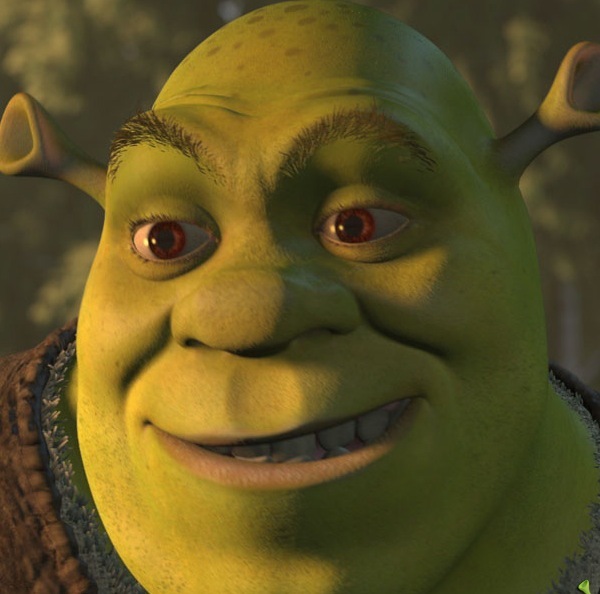 Human or Ogre form Shrek? - Shrek - Fanpop